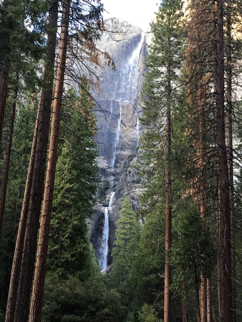 Yosemite Falls I